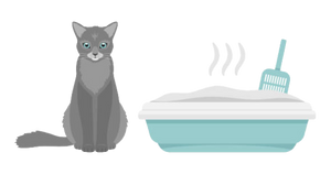 Comment entretenir la litière de votre chat ?