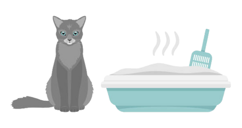 Comment entretenir la litière de votre chat ?