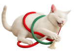 Jouet en Corde à Mordre pour Chat