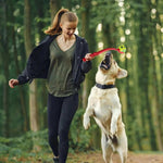 Bâton de lancer et balle pour chien